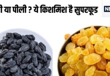 काली या पीली, कौन सी किशमिश है सुपरफूड, जहर को निकाल फेंकती है बाहर, पता है किससे बनती हैं?