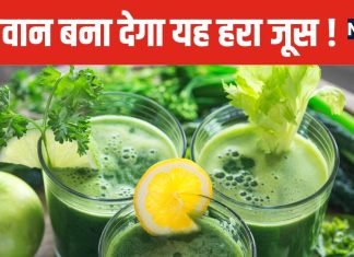 यह हरा जूस तबीयत कर देगा हरी ! रोज एक गिलास पिएं, चेहरे से टपकेगा नूर, दिल होगा गार्डन-गार्डन