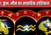 Weekly Horoscope: मकर राशि वाली वर्किंग वुमेन को बड़ी उपलब्धि मिलेगी, इस सप्ताह कुंभ मीन वालों का कोई सपना होगा सच