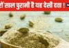 प्राचीन काल से दवा का काम कर रही यह छोटी सी चीज ! ओरल हेल्थ करे दुरुस्त, इंफेक्शन का कर देगी खात्मा