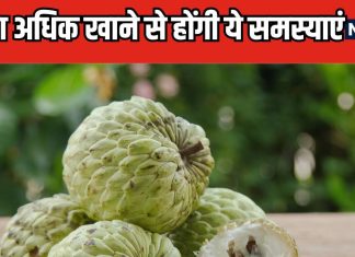 इस फल का अधिक सेवन दिमाग, नर्वस सिस्टम पर कर सकता है बुरा असर, बीज भी होते हैं हानिकारक, ये लोग तो दूर ही रहें…
