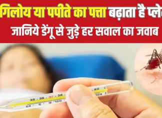 Explainer: इस साल क्यों बढ़ रहे डेंगू के केस? कैसे आम बुखार से अलग, क्या हैं रेड सिग्नल; हर सवाल का जवाब