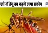 दिल्ली में बढ़ने लगा डेंगू का आतंक, एक हफ्ते में 300 से ज्यादा मामले, इन अस्पतालों में कराएं इलाज
