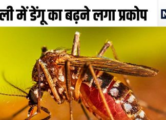 दिल्ली में बढ़ने लगा डेंगू का आतंक, एक हफ्ते में 300 से ज्यादा मामले, इन अस्पतालों में कराएं इलाज