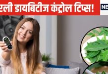 Sugar Level: मात्र ये 3 पत्तियां चबा लीजिए..! फिर चाहें कैसी भी हो डायबिटीज, कंट्रोल होते नहीं लगेगी देर