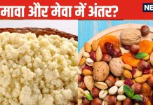 कहीं आप भी मावा और मेवा को समझते हैं एक? दोनों में है बहुत बड़ा अंतर, अधिकतर लोग हो जाते हैं कंफ्यूज