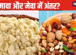 कहीं आप भी मावा और मेवा को समझते हैं एक? दोनों में है बहुत बड़ा अंतर, अधिकतर लोग हो जाते हैं कंफ्यूज