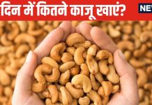 क्या 1 दिन में मुट्ठी भर काजू खाना सेहत के लिए है फायदेमंद? 99% लोग नहीं जानते होंगे सेवन का ये सही तरीका