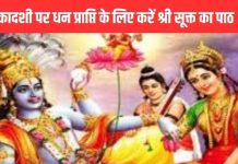 परिवर्तिनी एकादशी पर न करें ये काम, ब्रह्म हत्या का पाप भी हो सकता है दूर, धन प्राप्ति के लिए करें यह पाठ