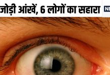 एक जोड़ी आंखें दे रहीं 6 लोगों को रोशनी, आरपी सेंटर AIIMS में हो रहा कमाल, पढ़ें कैसे