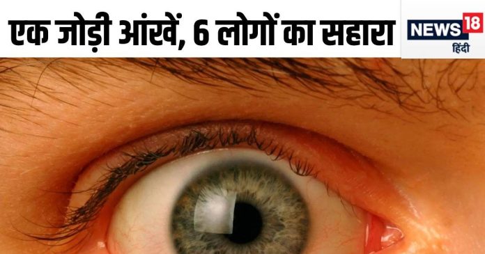 eye-donation-and-transplant-in-rp-center-aiims-1-2024-09-2563629d1aea91c12ea008227d82a0a1-16x9.jpg