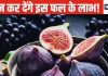 Health Tips: अगर खाना शुरू कर दें यह ‘शक्तिशाली’ फल, शरीर में भर जाएगा फौलाद, शादीशुदा जिंदगी भी होगी सुखमय.!