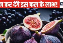 Health Tips: अगर खाना शुरू कर दें यह ‘शक्तिशाली’ फल, शरीर में भर जाएगा फौलाद, शादीशुदा जिंदगी भी होगी सुखमय.!