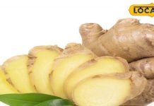 सेहत के लिए अनमोल है अदरक, जिसमें है स्वाद और स्वास्थ्य का अद्भुत संगम – Bharat.one हिंदी