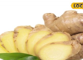 सेहत के लिए अनमोल है अदरक, जिसमें है स्वाद और स्वास्थ्य का अद्भुत संगम – Bharat.one हिंदी