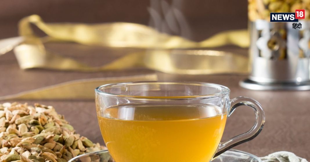 ग्रीन टी कितनी और कब पीना चाहिए? ज्यादा पीने से होंगे कई नुकसान, लीवर और पेट पर गहराएगा संकट