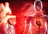 क्यों बढ़ रहे हार्ट अटैक के मामले? अब बच्चे भी खतरे में, डॉक्टर से जानें कारण और समाधान Heart attack cases are increasing in the young generation. People are falling prey to it due to bad lifestyle and eating habits.