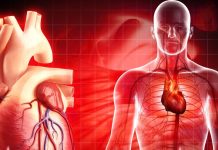 क्यों बढ़ रहे हार्ट अटैक के मामले? अब बच्चे भी खतरे में, डॉक्टर से जानें कारण और समाधान Heart attack cases are increasing in the young generation. People are falling prey to it due to bad lifestyle and eating habits.