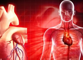 क्यों बढ़ रहे हार्ट अटैक के मामले? अब बच्चे भी खतरे में, डॉक्टर से जानें कारण और समाधान Heart attack cases are increasing in the young generation. People are falling prey to it due to bad lifestyle and eating habits.