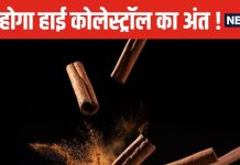 सिर्फ 1 रुपये की चीज दिला सकती है हाई कोलेस्ट्रॉल से छुटकारा ! नसों में जमी गंदगी करेगी साफ, फायदे बेमिसाल