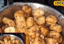 most famous momos are found here in Bihar 1000 pieces are sold in just 3 hours you will get taste like Mumbai – Bharat.one हिंदी