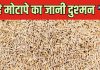 ब्लॉटिंग से फूला पेट हो या कब्ज ने बनाया गुब्बारा, आपकी मसालेदानी की ये एक चीज करेगी कमाल, जानें फायदे