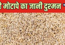 ब्लॉटिंग से फूला पेट हो या कब्ज ने बनाया गुब्बारा, आपकी मसालेदानी की ये एक चीज करेगी कमाल, जानें फायदे