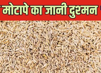 ब्लॉटिंग से फूला पेट हो या कब्ज ने बनाया गुब्बारा, आपकी मसालेदानी की ये एक चीज करेगी कमाल, जानें फायदे