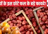 सर्दियों में केवल 2 महीने ही मिलता है ये सुपर फ्रूट, आंतों की सूजन में रामबाण, शरीर को भी देता है परफेक्ट शेप!