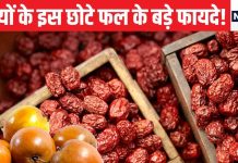 सर्दियों में केवल 2 महीने ही मिलता है ये सुपर फ्रूट, आंतों की सूजन में रामबाण, शरीर को भी देता है परफेक्ट शेप!