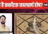 व्यक्ति को अभिमानी बना देता है कर्कोटक कालसर्प दोष, जीवन में झेलनी पड़ती हैं कई परेशानियां भी, ये उपाय दिलाएंगे राहत