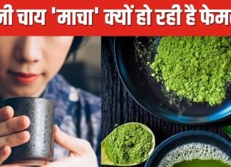 जापानी लोग क्यों पीते हैं मोचा टी? फायदे जानकर रह जाएंगे हैरान
