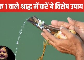 Pitru Paksha 2024: पितृ पक्ष में प्रतिपदा श्राद्ध आज, मूलांक 1 वालों को है मौका, ये उपाय कुंडली दोष को करेगा दूर!