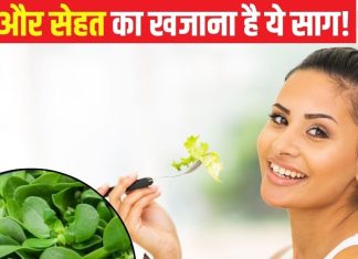 पौष्टिक तत्वों का खजाना है ये साग, 1 सप्ताह खा लिया तो गठिया दर्द से मिलेगी राहत, डायबिटीज में भी फायदेमंद..!