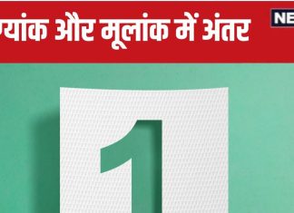 Destiny Number: मूलांक से अलग होता है भाग्यांक, डेस्टिनी नंबर 1 वाले में होती हैं ये 4 खूबियां, जो दूसरों से बनाती हैं स्पेशल