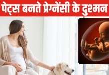 पेट्स का प्यार प्रेग्नेंट महिलाओं के लिए खतरनाक! क्यों प्रेग्नेंसी में पेट्स को रखना चाहिए दूर?