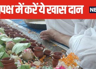 पितृ पक्ष में सिर्फ एक चीज का दान दिलाएगा पितरों का आशीर्वाद, पितृ दोष से भी मिलेगी मुक्ति, होंगे कई लाभ