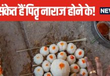 घर में उग गया है पीपल का पौधा या फिर घटने लगी हैं घटनाएं? ये संकेत हैं नाराज हैं आपके पितृ