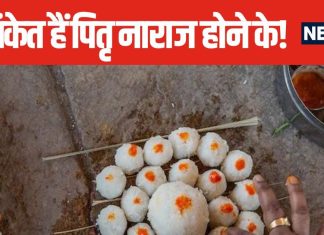 घर में उग गया है पीपल का पौधा या फिर घटने लगी हैं घटनाएं? ये संकेत हैं नाराज हैं आपके पितृ