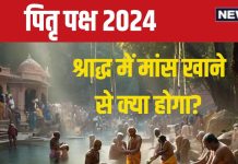 Pitru Paksha 2024: पितृ पक्ष में खा लिया मांस या पीया है शराब तो क्या होगा? ज्योतिषाचार्य से जानें उसके परिणाम