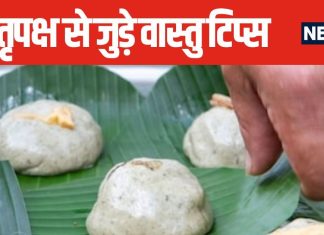 पितृ पक्ष में पूर्वजों से पाना चाहते हैं आशीर्वाद? तो अपनांए वास्तु शास्त्र के आसान उपाय, प्रसन्न हो जाएंगे पूर्वज