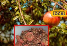 शरीर की गंदगी को निचोड़ कर बाहर फेंके देगा इस फल का फूल, स्किन में भी रामबाण!