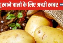Potato Benefits: अरे गजब हो गया, आलू तो सभी सब्जियों का बाप निकला ! फायदे जानकर खरीद लाएंगे बोरा