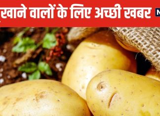 Potato Benefits: अरे गजब हो गया, आलू तो सभी सब्जियों का बाप निकला ! फायदे जानकर खरीद लाएंगे बोरा