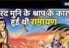 भगवान विष्णु को जब नारद मुनि ने दिया श्राप, जिससे दर-दर भटके भगवान, पढ़ें रोचक कथा