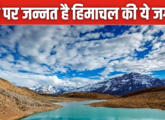 धरती पर स्वर्ग देखना है तो पहुंचें सिसु वैली, हिमाचल का ये नजारा कभी नहीं देखा होगा आपने