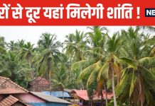 चलो गांव की ओर ! भारतीयों को नहीं भा रही शहरों की भागदौड़ भरी जिंदगी, अब चाहिए शांति और सुकून