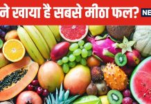 यह है दुनिया का सबसे मीठा फल, इसके सामने गुड़-शक्कर फेल, गर्मियों में बिकता है कौड़ियों के भाव !