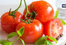 टमाटर फल है या सब्जी? 99 प्रतिशत लोग नहीं जानते सही जवाब, जानें यहां