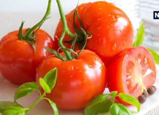 टमाटर फल है या सब्जी? 99 प्रतिशत लोग नहीं जानते सही जवाब, जानें यहां